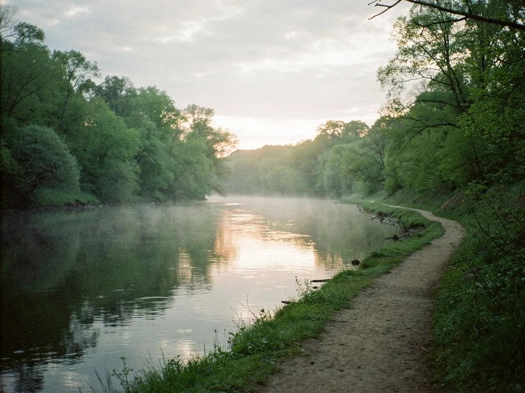 Uncover Your Next Wilderness Journey
